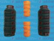 Seinsa Autofren D5029