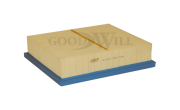 Goodwill AG363