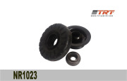 TRT NR1023