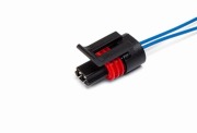 Cargen AX316